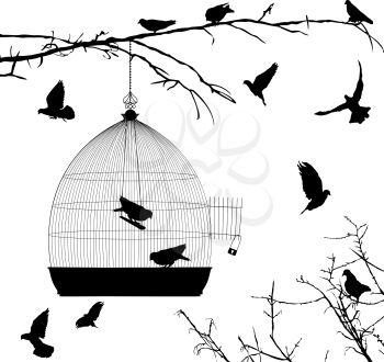 Birds silhouettes and bird cage over white background