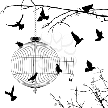 Cage and birds silhouettes over white background