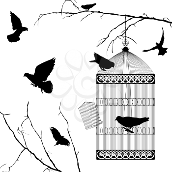 Flying birds and cage silhouettes over white background