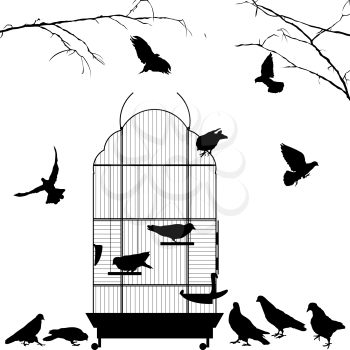Open bird cage and birds silhouettes over white background