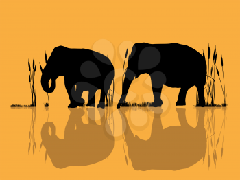 Background illustration with wild elephants crossing water