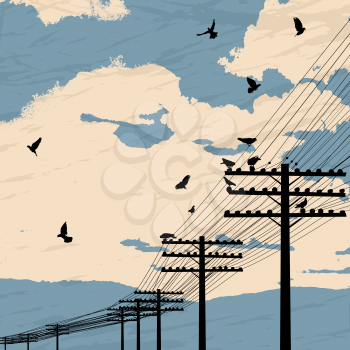 Birds on wire, romantic background
