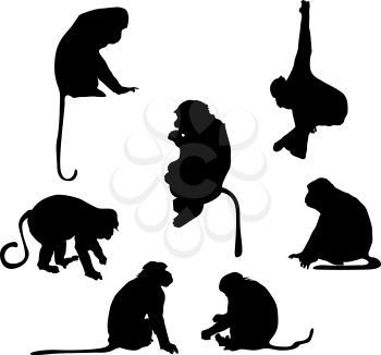 Playful monkey silhouettes over white background
