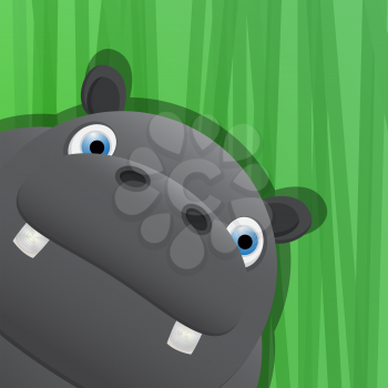 Funny hippo avatar icon for web