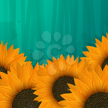 Sunflowers icon, vector art