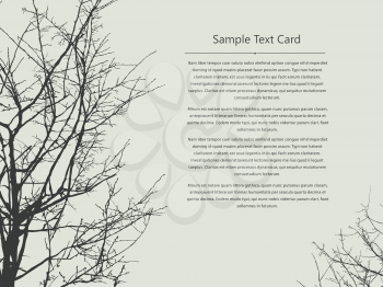 Text card design with trees and tree brunches silhouettes