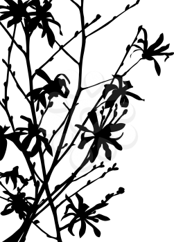 Wild flower silhouette in black and white for print