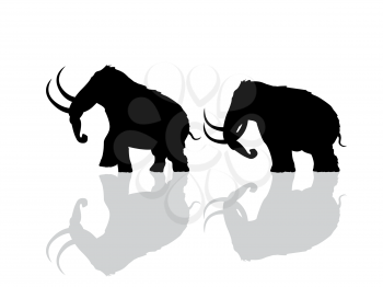 Wooly mammoth silhouettes over white background