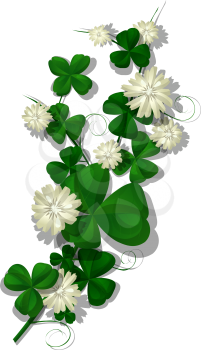 Vector clover leaves and flowers over white background