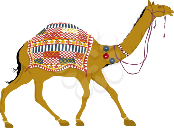 Beautiful decorated indian camel vector on white background