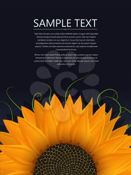 Sunflower vector illustration with copy space