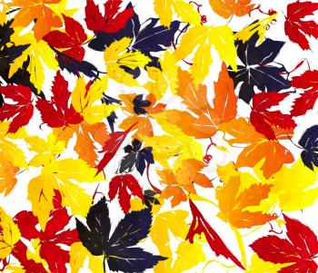 Watercolor autumn leaves illustration, abstract background