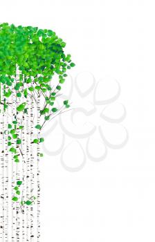 Watercolor birch trees with green leaves on white background