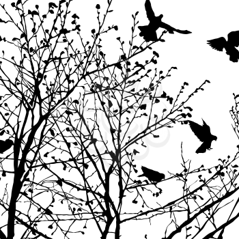 Background illustration with pigeons silhouettes in the trees, vector 