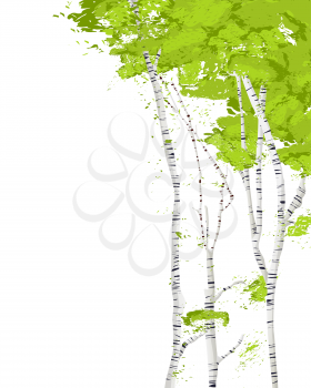 Birch trees romantic vector template on white background