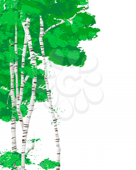 Vector template card with silver birch trees over white background with copy space