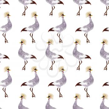 Watercolor seamless pattern with dancing crane over white background