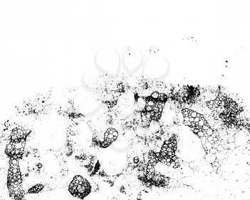 Vector grunge texture in black and white