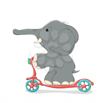 Elphant riding a scooter, vector cartoon character over white background