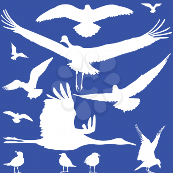 Royalty Free Clipart Image of Bird Silhouettes