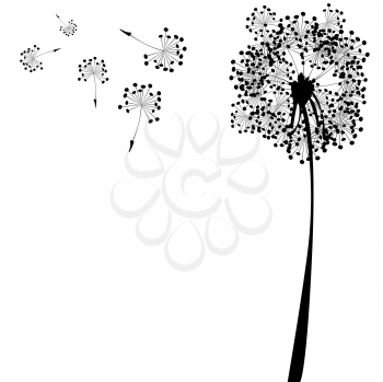 dandelion against white background, abstract vector art illustration