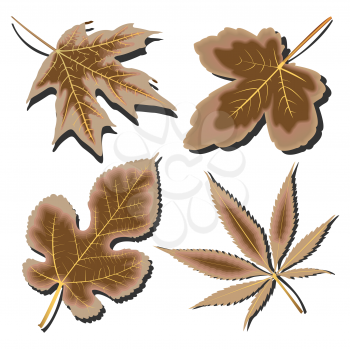 dry leaves collection against white background, abstract vector art illustration