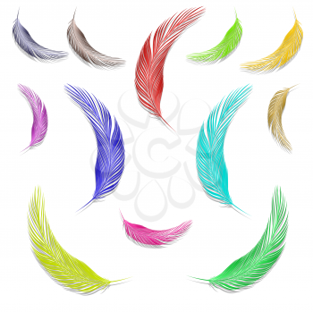 feathers in colors against white background, abstract vector art illustration