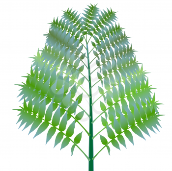 green bush against white background, abstract vector art illustration