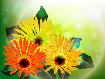 flowers and light abstract, vector art illustration; image contains gradient mesh and transparency