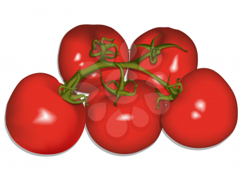 tomatoes against white background, abstract vector art illustration; image contains gradient mesh and transparency
