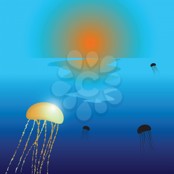 jellyfish sunset composition, abstract vector art illustration; image contains transparency