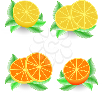 sliced orange and lemon against white background, abstract vector art illustration; image contains transparency