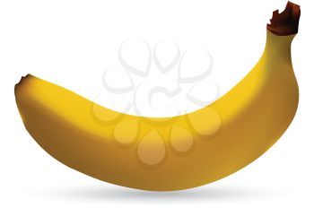 banana against white background, abstract vector art illustration; image contains gradient mesh and transparency
