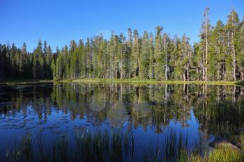 Royalty Free Photo of a Lake in the Yosemite National Park
