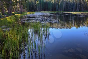 Royalty Free Photo of a Lake in Yosemite National Park