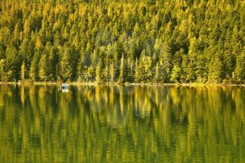 Royalty Free Photo of a Lake Surrounded by a Forest