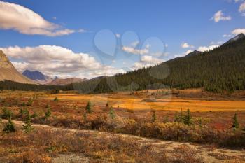 Royalty Free Photo of a Northern Landscape