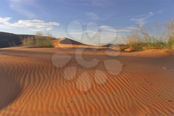 Royalty Free Photo of Sand Dunes in Arizona