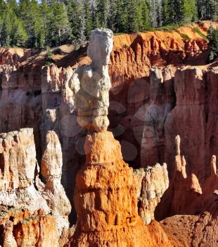 Royalty Free Photo of the Bryce Canyon in Utah