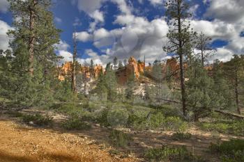 Royalty Free Photo of Trees in the Canyon of Red Stones