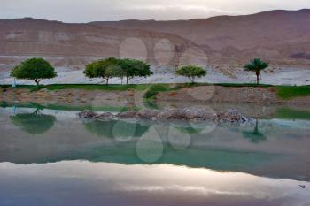 Royalty Free Photo of the Coast of the Dead Sea