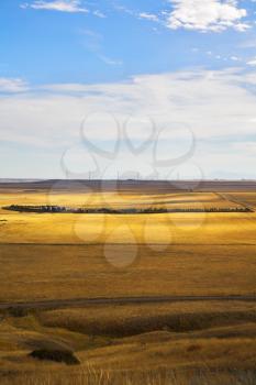 Royalty Free Photo of a Prairie
