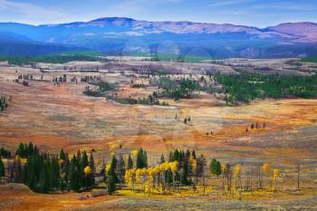 Royalty Free Photo of Yellowstone National Park