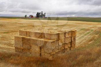 Royalty Free Photo of a Stack of Hay in a Field