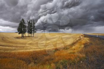 Royalty Free Photo of a Field During a Storm