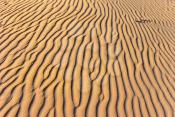 Royalty Free Photo of Sand Dunes 
