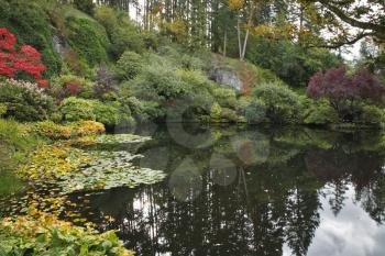 Royalty Free Photo of a Pond in a Garden