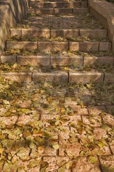 Royalty Free Photo of Stone Steps