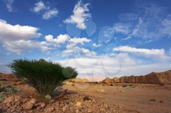 Royalty Free Photo of the Stone Desert in Israel
