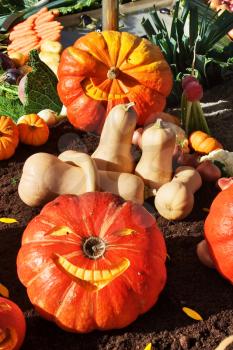 Royalty Free Photo of Vegetables at a Rural Fair in Annecy City
